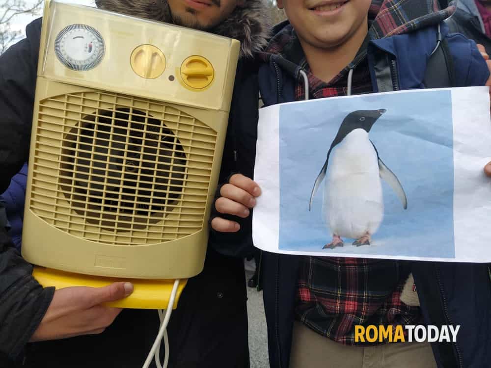 Scuole di Roma ancora al gelo, il Comune contro le ditte: "Soluzione immediata, segnaleremo tutto all'Anac"