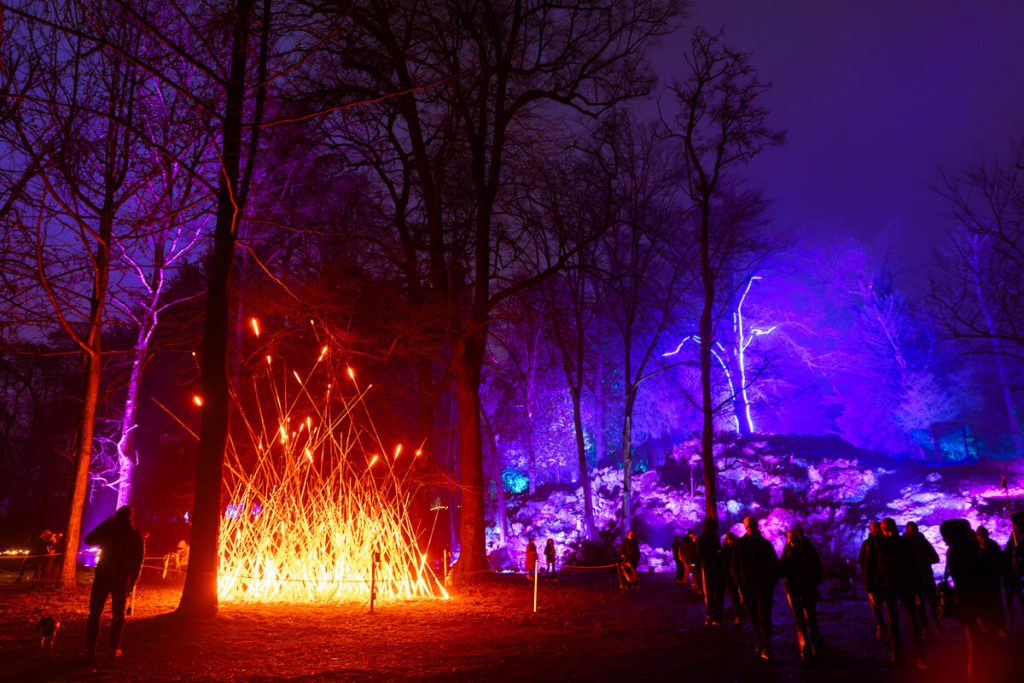 Trame di Luce all'Orto Botanico