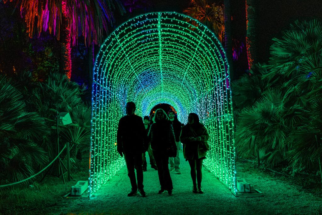 Weekend a Roma: 13 eventi da non perdere sabato 30 novembre e domenica 1 dicembre