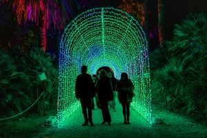 Weekend a Roma: 13 eventi da non perdere sabato 30 novembre e domenica 1 dicembre
