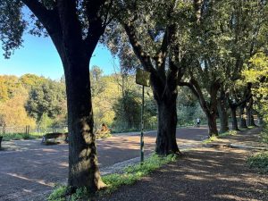 Villa Pamphilj, dopo i lavori riapre viale Lago del Giglio