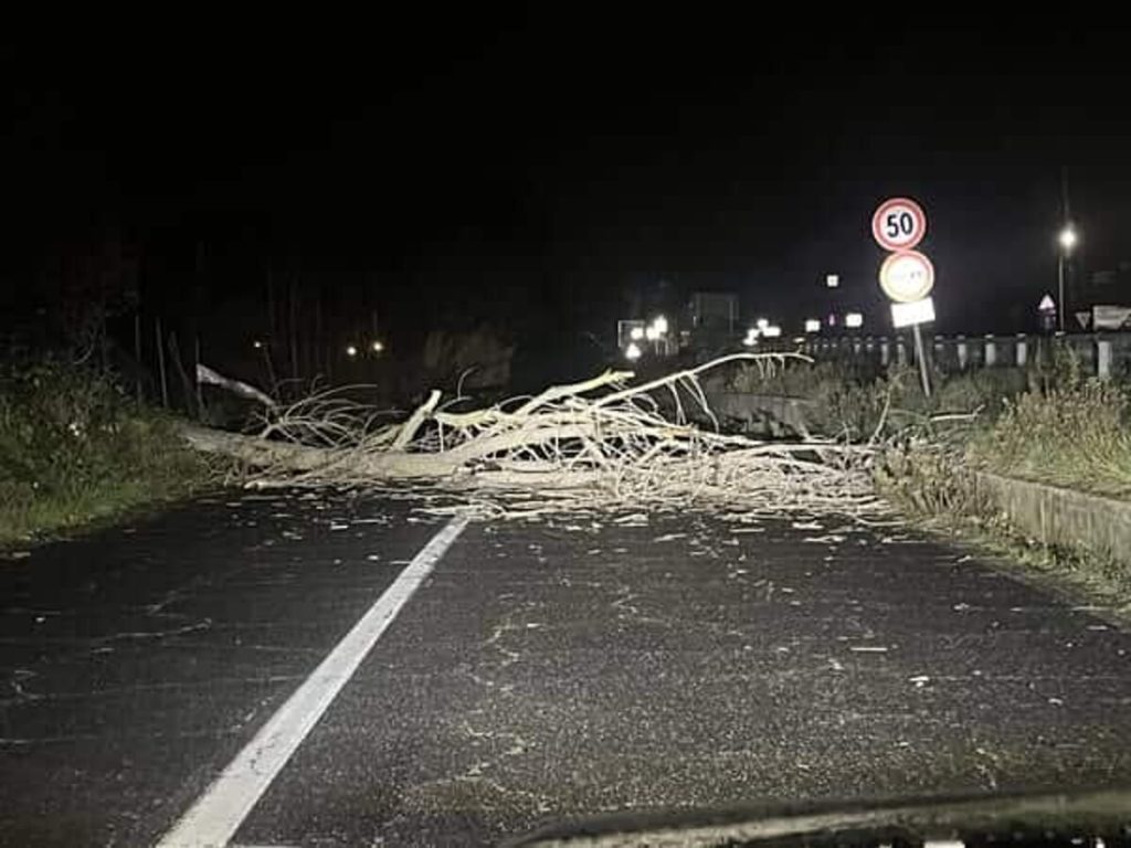 Vento forte a Roma e provincia, cadono alberi
