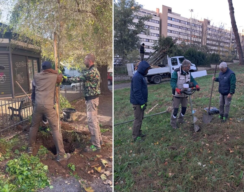 Alberi a Natale, al via “la forestazione partecipata” organizzata dai cittadini