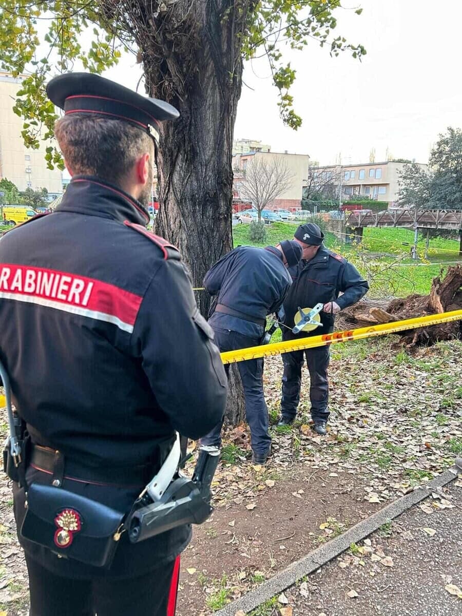 Francesca Ianni uccisa da un albero nel parco: indagato tecnico del comune