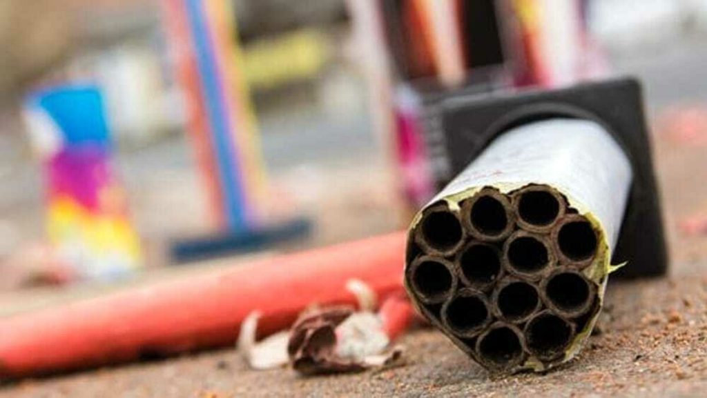 A Roma l'ordinanza anti botti diventerà permanente per tutelare persone e animali