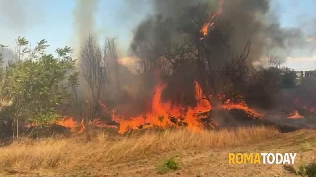 Incendi a Roma, 760 roghi nel 2024. È il numero più alto dal 2017