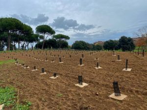 Un bosco urbano di 5mila nuovi alberi e arbusti in un parco di Roma: "12 specie diverse in 5 ettari"