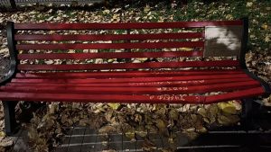 Danneggiata la panchina rossa installata davanti al Liceo Talete