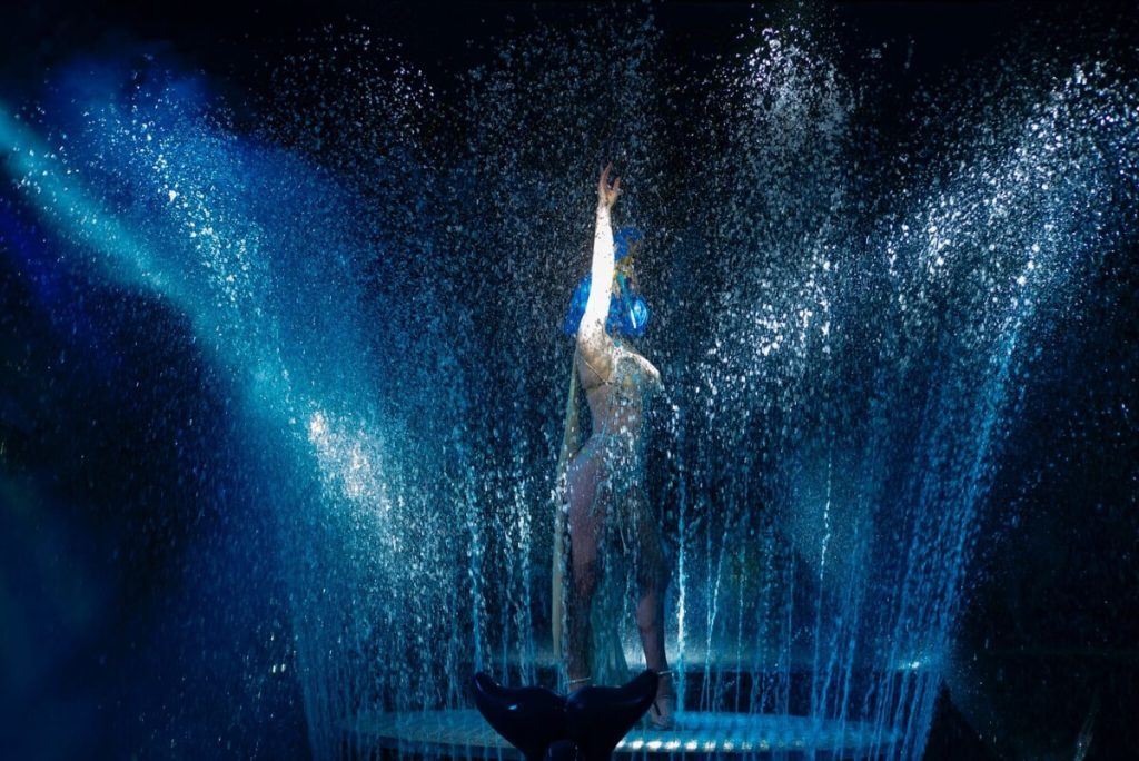 Il Circo nell'Acqua a Roma: uno spettacolo dove la realtà incontra la fantasia
