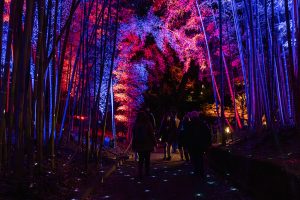 Santo Stefano a Roma: gli eventi in programma il 26 dicembre