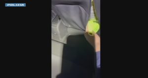 VIDEO | I furti in serie della banda di ladri d'appartamento incappucciati