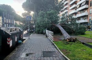 Tragedia sfiorata a Cinecittà est: albero cade vicino la strada