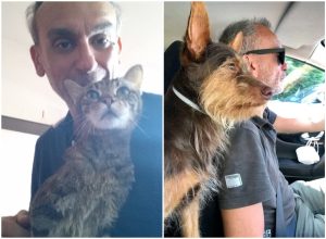 Antonio De Simone morto in un incidente stradale. L'amore per gli animali e la corsa dei volontari per accudire i suoi 6 gatti