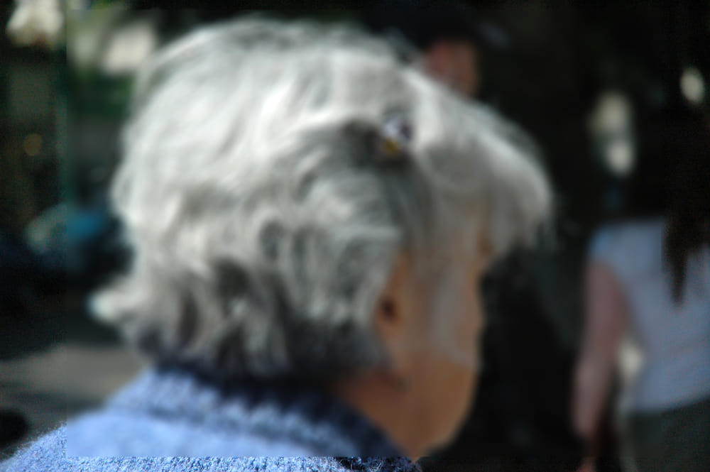 Nonna Maria scopre il raggiro ed evita truffa da 10mila euro