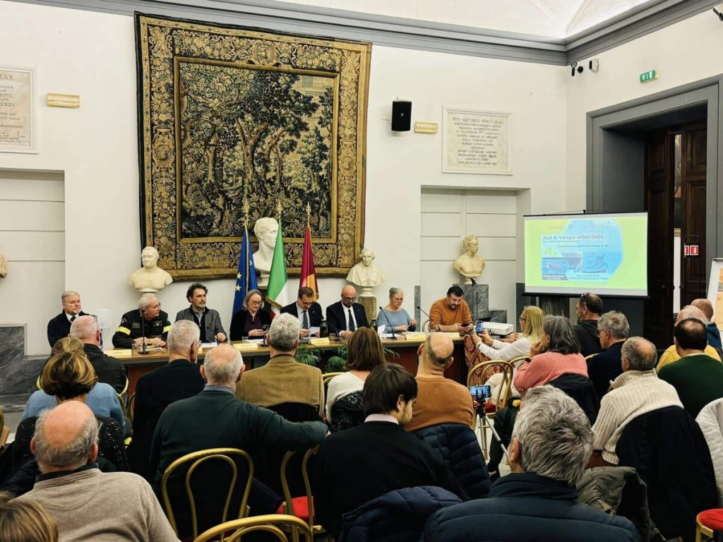 Vespa orientalis: “Serve impegno comune, impossibile eradicarla”