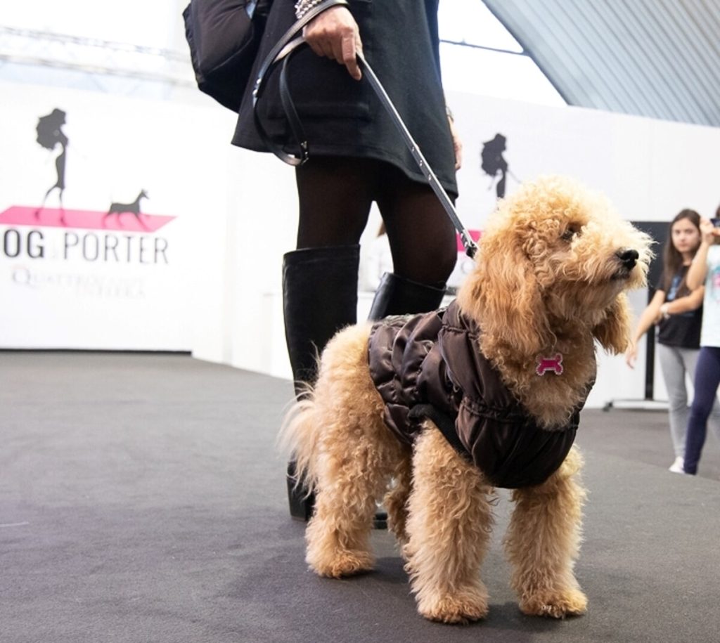Quattrozampeinfiera, festival pet-friendly alla Fiera di Roma