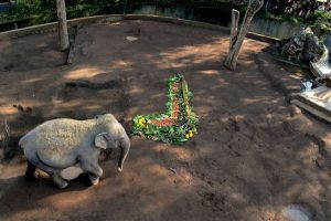 Befana 2025 al Bioparco