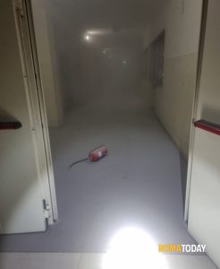 Entrano all'istituto Ruiz e svuotano 12 estintori nel plesso. Indagano i carabinieri