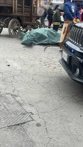 Festa di Sant'Antonio: cavallo scivola e muore mentre traina un carro