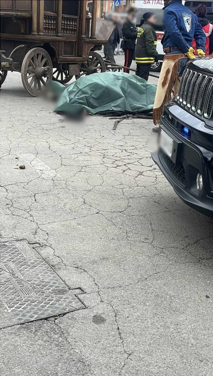 Festa di Sant'Antonio: cavallo scivola e muore mentre traina un carro