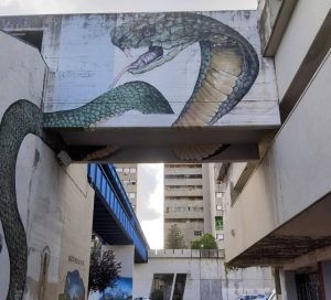 L'Ater Roma ha perso 2 milioni di euro per opere a Corviale e Laurentino 38