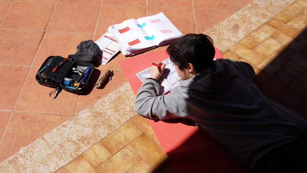 Lezioni nella natura e didattica personalizzata. Vi porto nelle scuole alternative a Roma