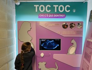 "Quanti mesi", il nuovo percorso sulla nascita al Museo Explora