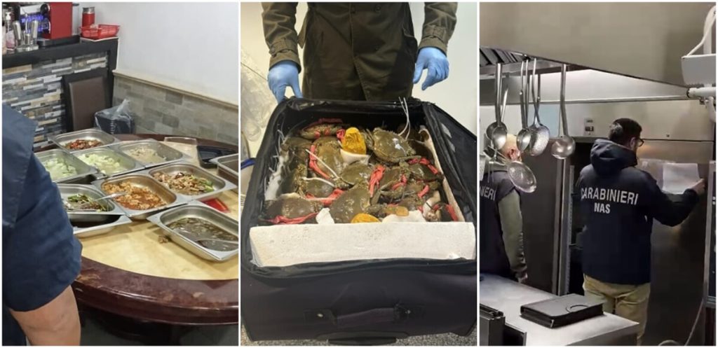 Pesci trasportati nei trolley, quintali di cibi non tracciati. Vi porto nelle cucine da incubo di Roma