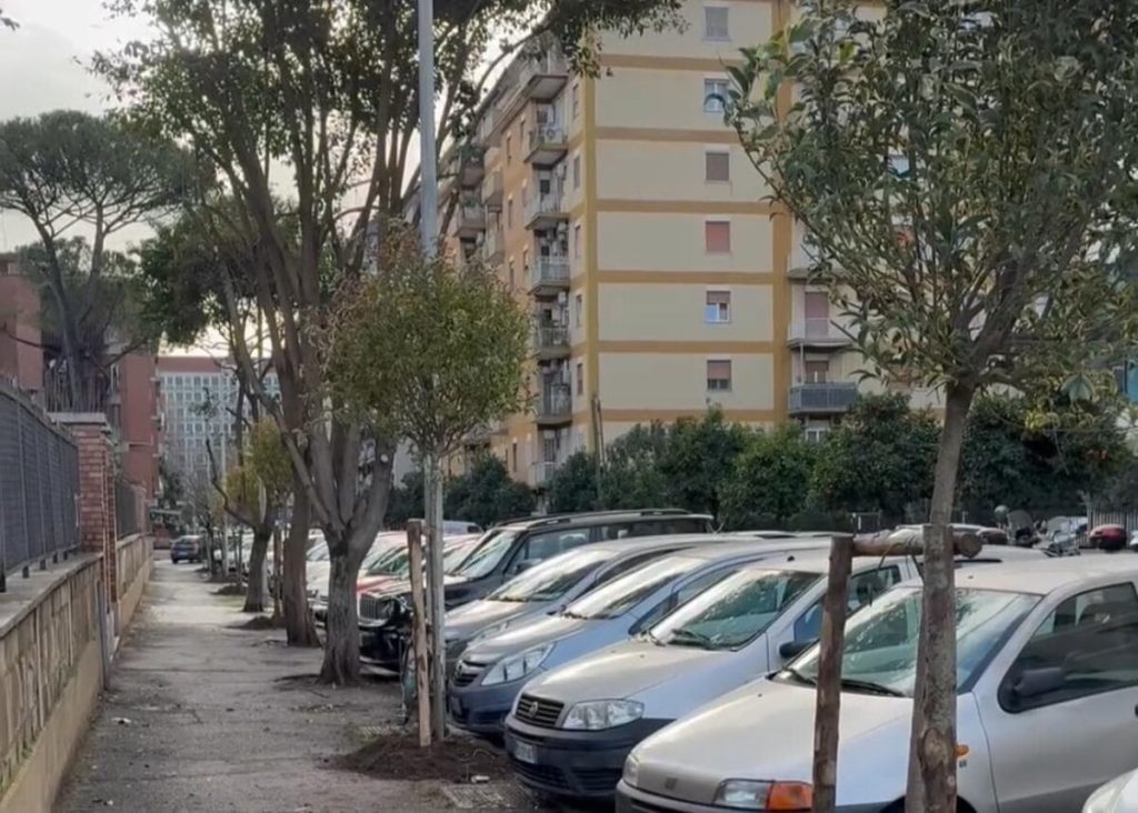 Nuovi alberi a Tor Marancia per contrastare le isole di calore
