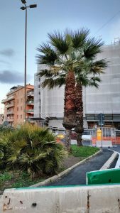 Feste da incubo per le famiglie del palazzo evacuato: "Siamo ancora senza le nostre case"