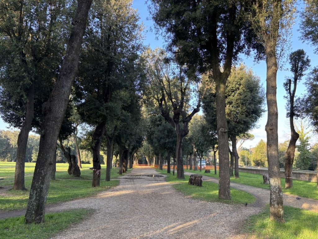 Villa Pamphili cambia volto: saranno abbattuti 43 pini e 34 lecci. Piantati oltre 350 nuovi alberi