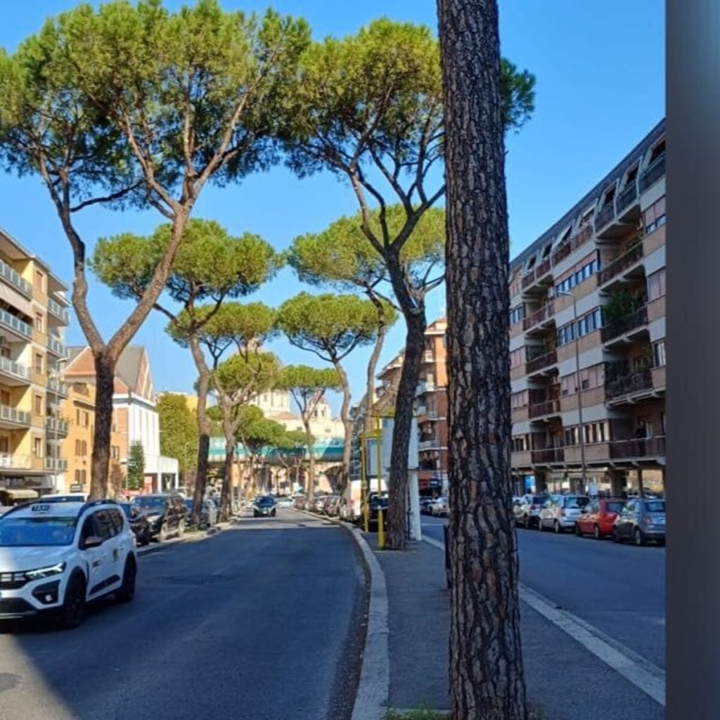 TVA a largo Gregorio VII, la rabbia dei residenti: "Chiediamo rispetto per i nostri pini"