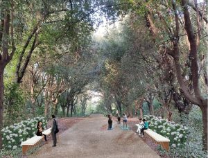 Villa Glori cambia look: nuova vita per i percorsi storici e il patrimonio arboreo del parco