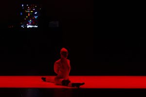 "Panoramic Banana, Album degli abitanti del nuovo mondo" allo Spazio Rossellini