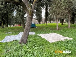 Lettori - Camping Parco Pasolini