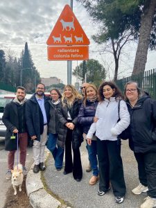 Una scuola di Roma sud ha adottato una colonia felina