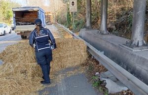 Camion perde carico di fieno sulla via del Mare dopo lo scontro con auto