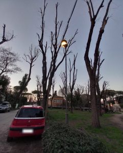 Parco di San Sebastiano, con le potature distrutti due lampioni davanti la scuola