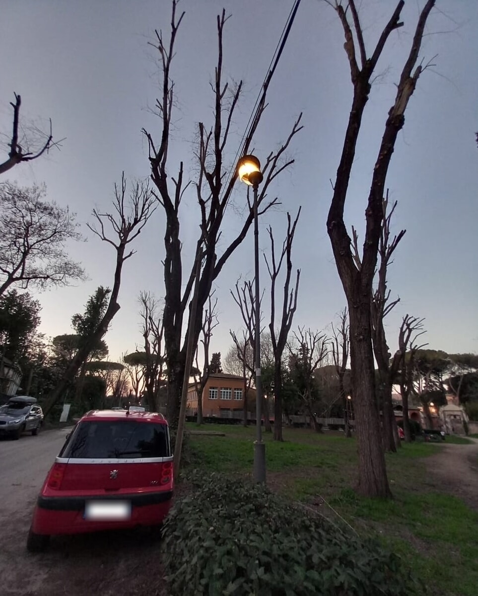 Parco di San Sebastiano, con le potature distrutti due lampioni davanti la scuola