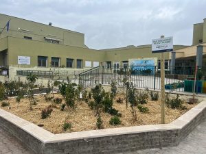 Inaugurata la microforesta all'IC Pablo Neruda