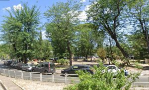 Motoseghe in azione a Prati, ci sono 17 alberi da abbattere: "Pericolosi, saranno sostituiti"