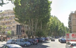 Talenti, addio a pini e platani: via libera a decine di tagli