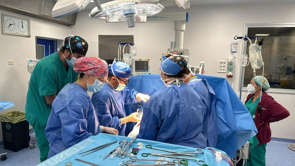 Il donatore con una possibile infezione e la sinergia degli ospedali per il trapianto. Così sono state salvate 4 persone