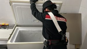 Carne e pesce non tracciati nel ristorante: distrutti 15 chili di alimenti