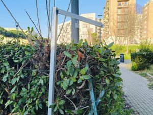 San Paolo: nel giardino sparita la targa dedicata ad Aldo Murgia, residente assassinato per un parcheggio