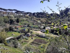 Contadini capitolini, il Campidoglio rilancia: “A Roma il più grande orto urbano d’Europa”