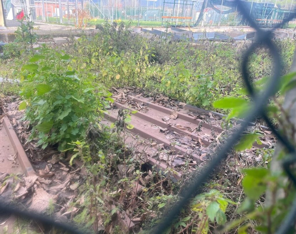 Colli Aniene, in attesa del nuovo gestore il centro sportivo sprofonda nel degrado