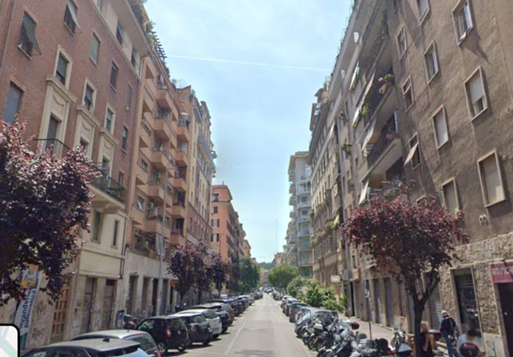 Dopo gli abbattimenti partono le piantumazioni: ecco dove saranno messi a dimora i nuovi alberi