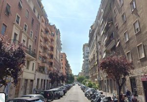 Dopo gli abbattimenti partono le piantumazioni: ecco dove saranno messi a dimora i nuovi alberi