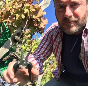 Vite, Vento e Vulcano: un viaggio nei vini di Grottafumata